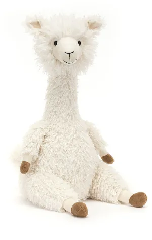 Alonso Alpaca