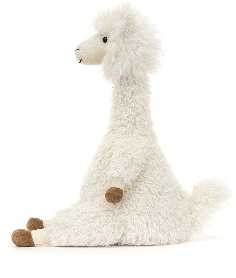 Alonso Alpaca