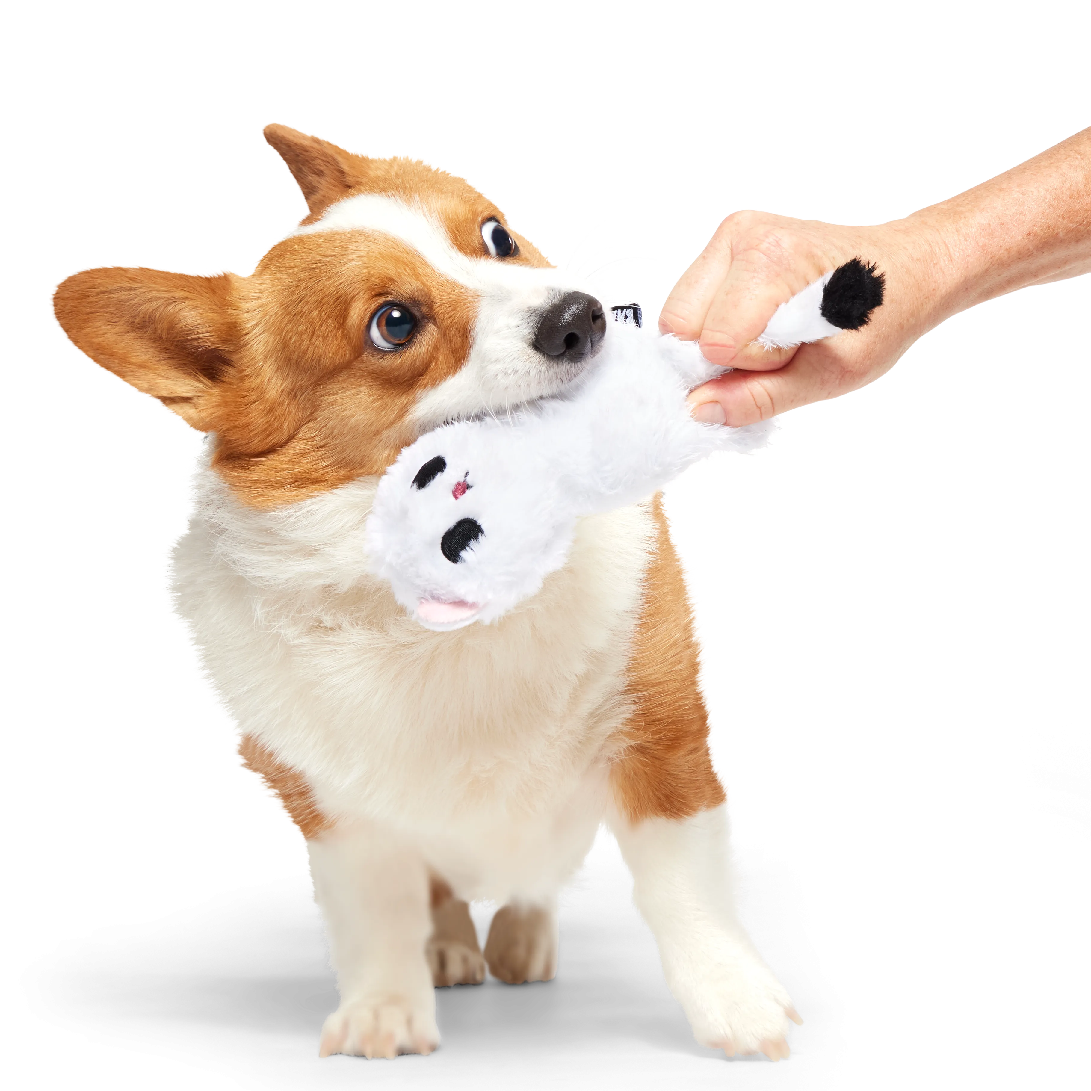 Barktic Weasel