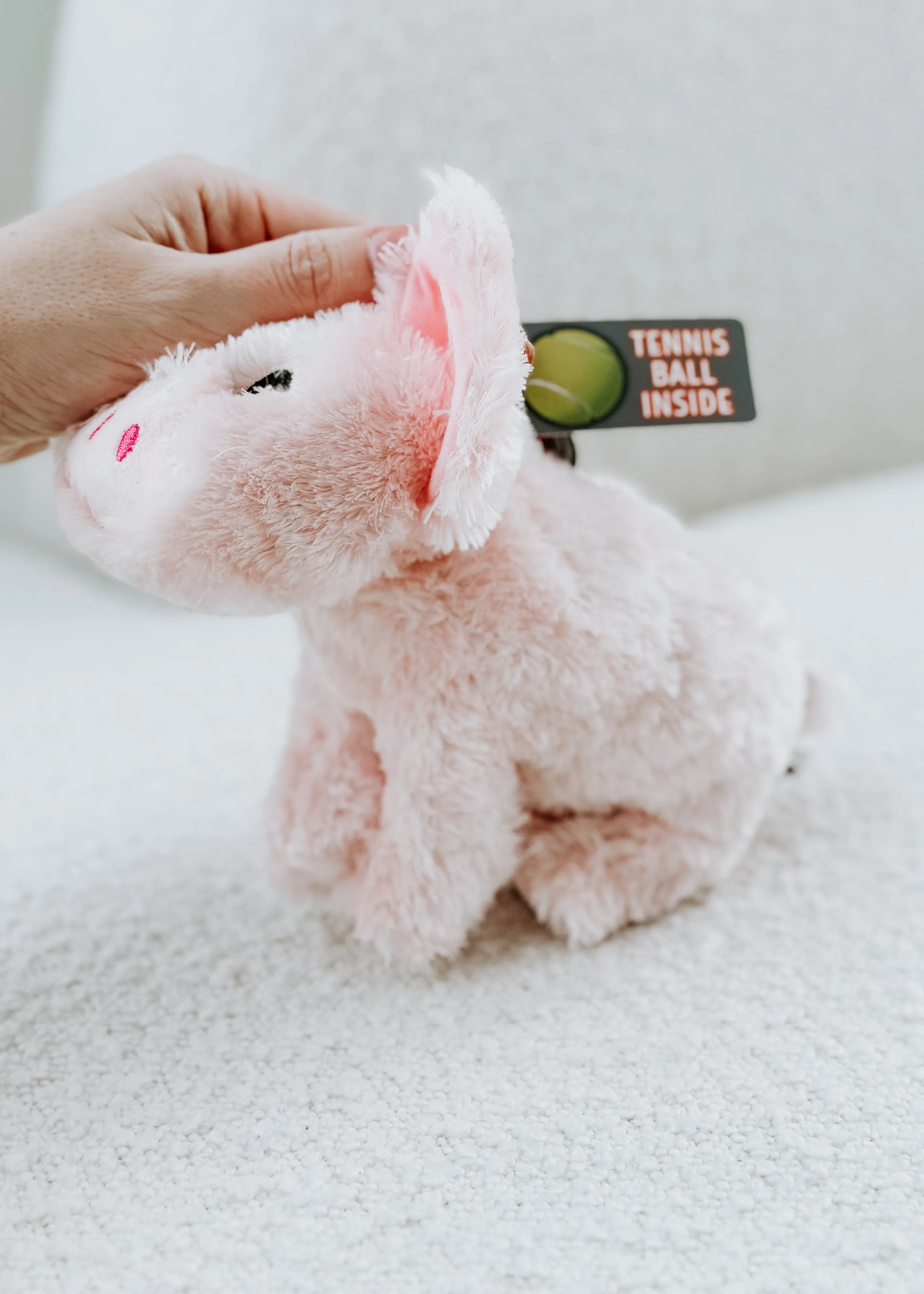 Barnyard Baller Pig