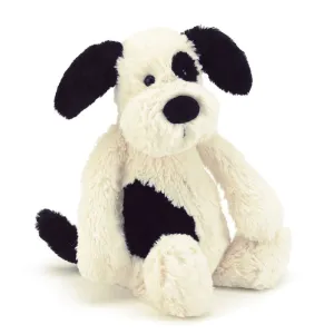 Bashful Black and Cream Puppy