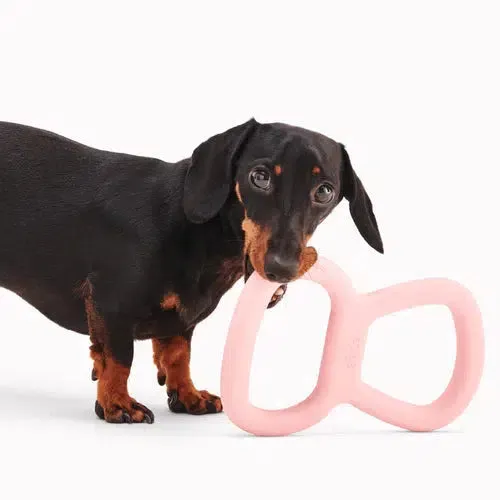 Beco - Natural Rubber Rough Tugger - Pink