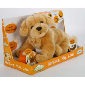 Big Golden Retriever