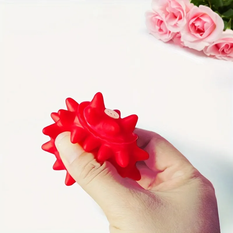 Durable Fun and Interactive Dog Toy Set  5pcs Squeaky Molar Balls