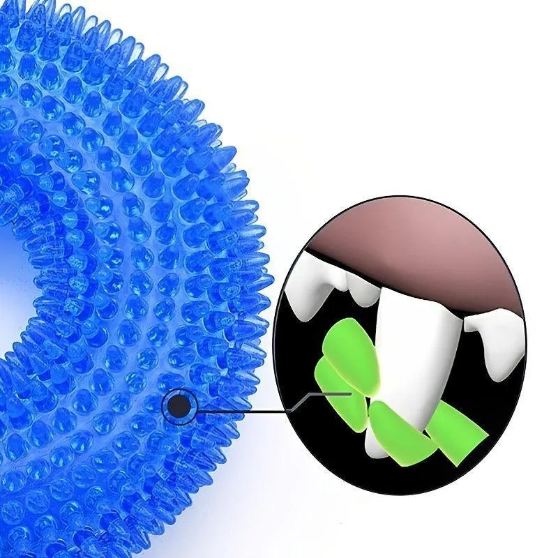 Durable Squeaky Donut Chew Toy for Dogs