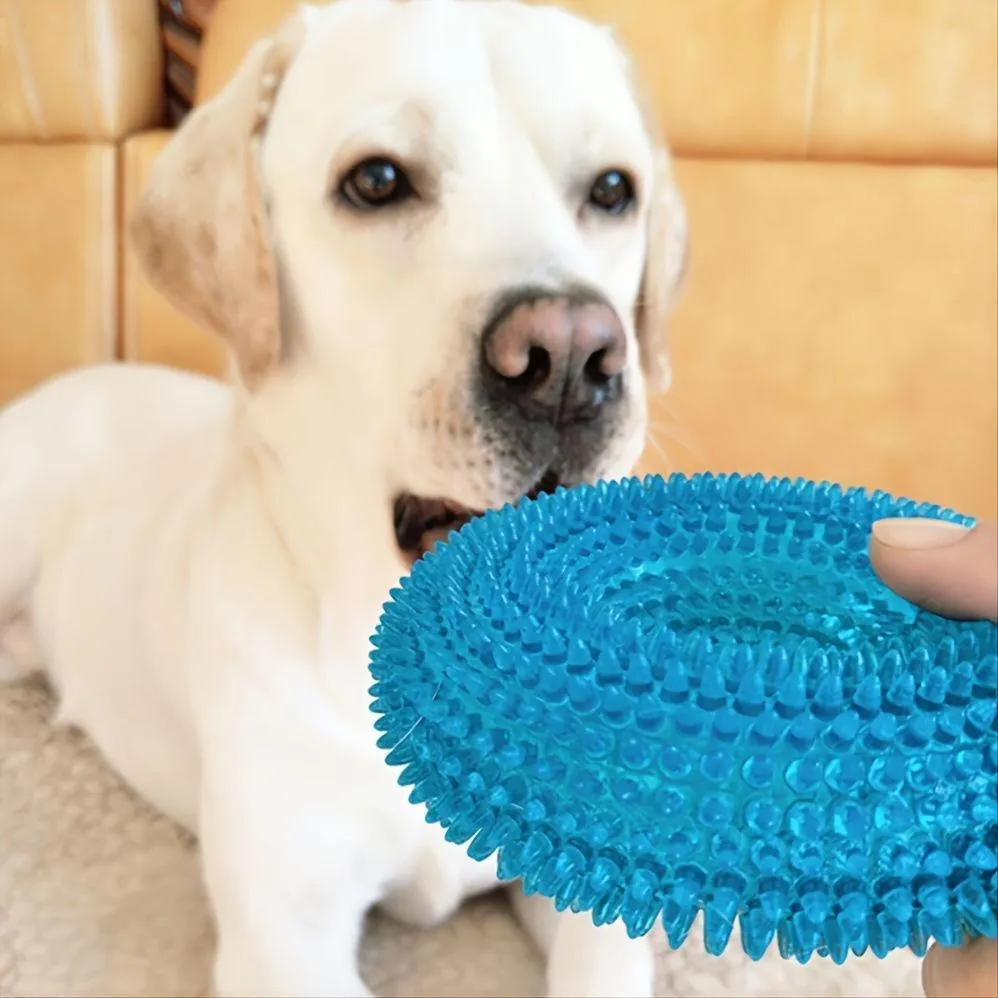 Durable Squeaky Donut Chew Toy for Dogs