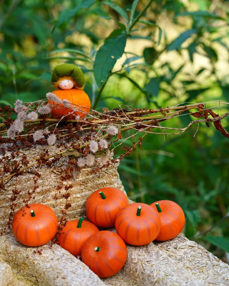 Erzi Pumpkin Wooden Play Food