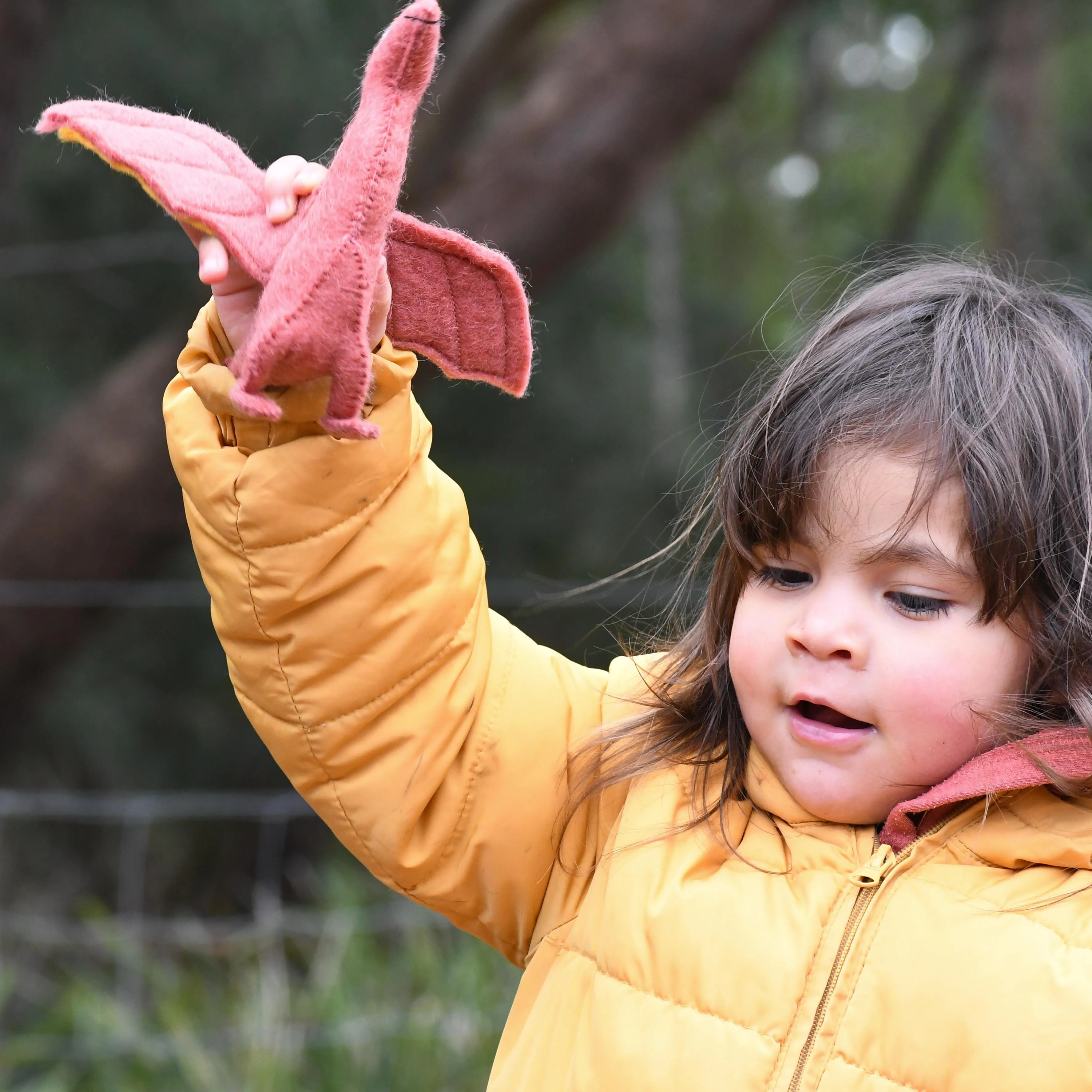 Felt Pteranodon Dinosaur Toy