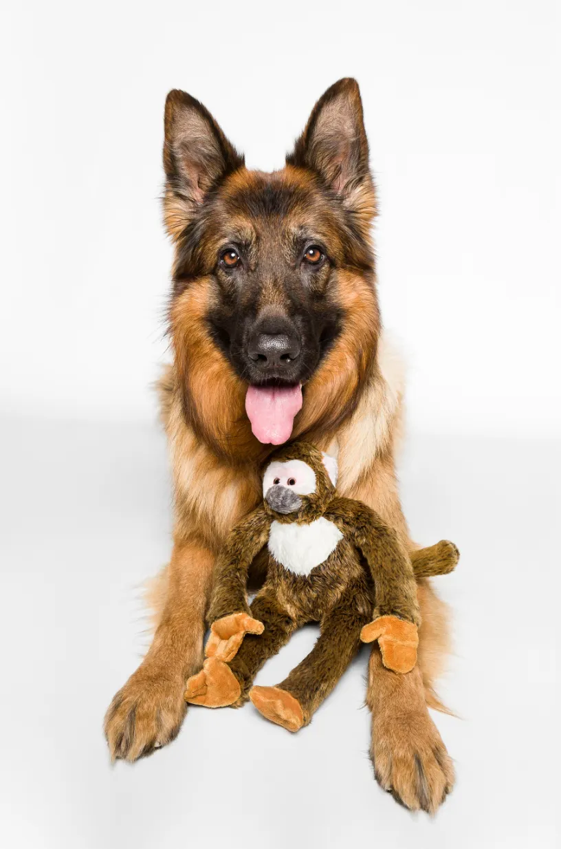 Fluff N Tuff Albert Monkey 15''