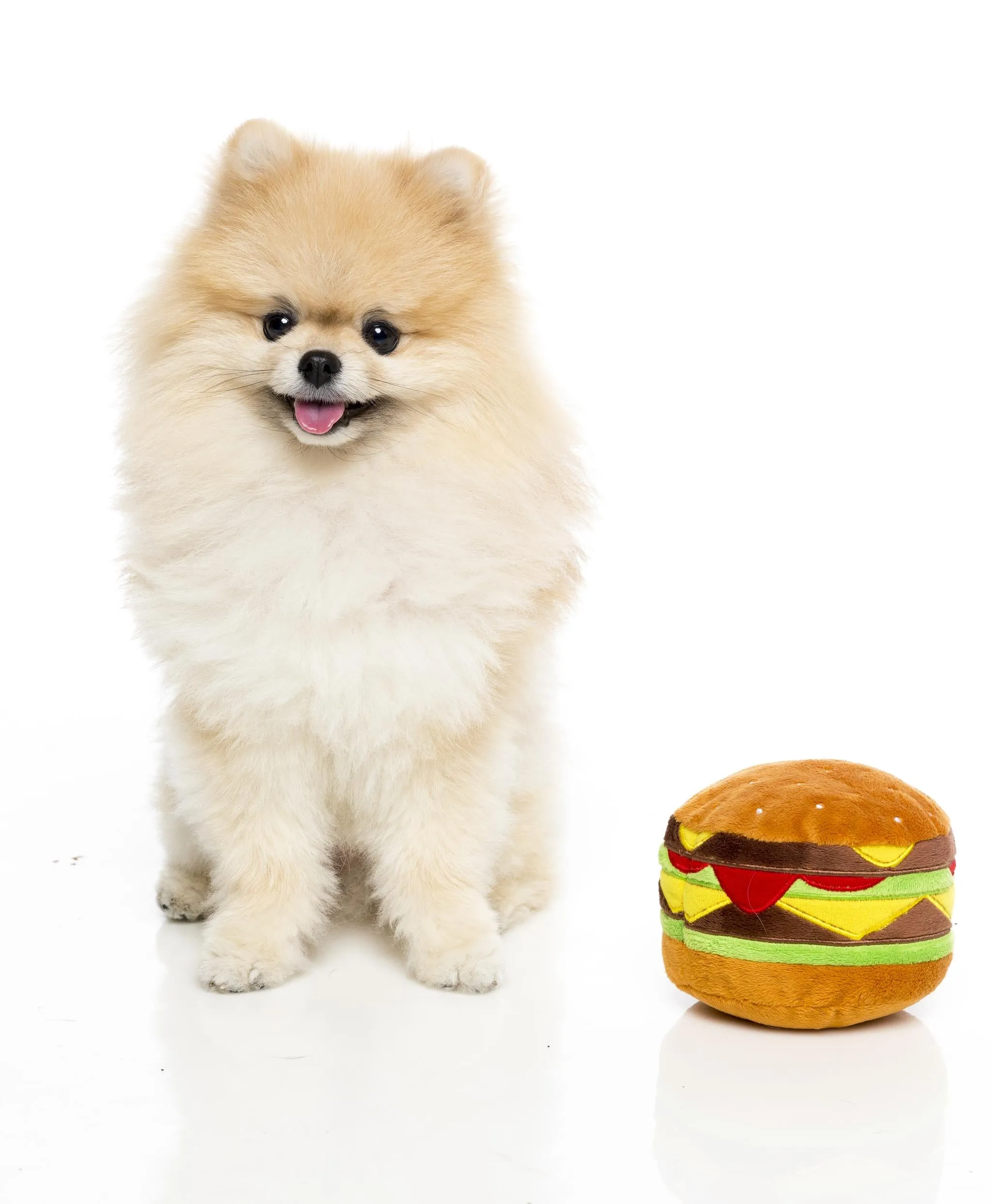FuzzYard Hamburger Dog Toy