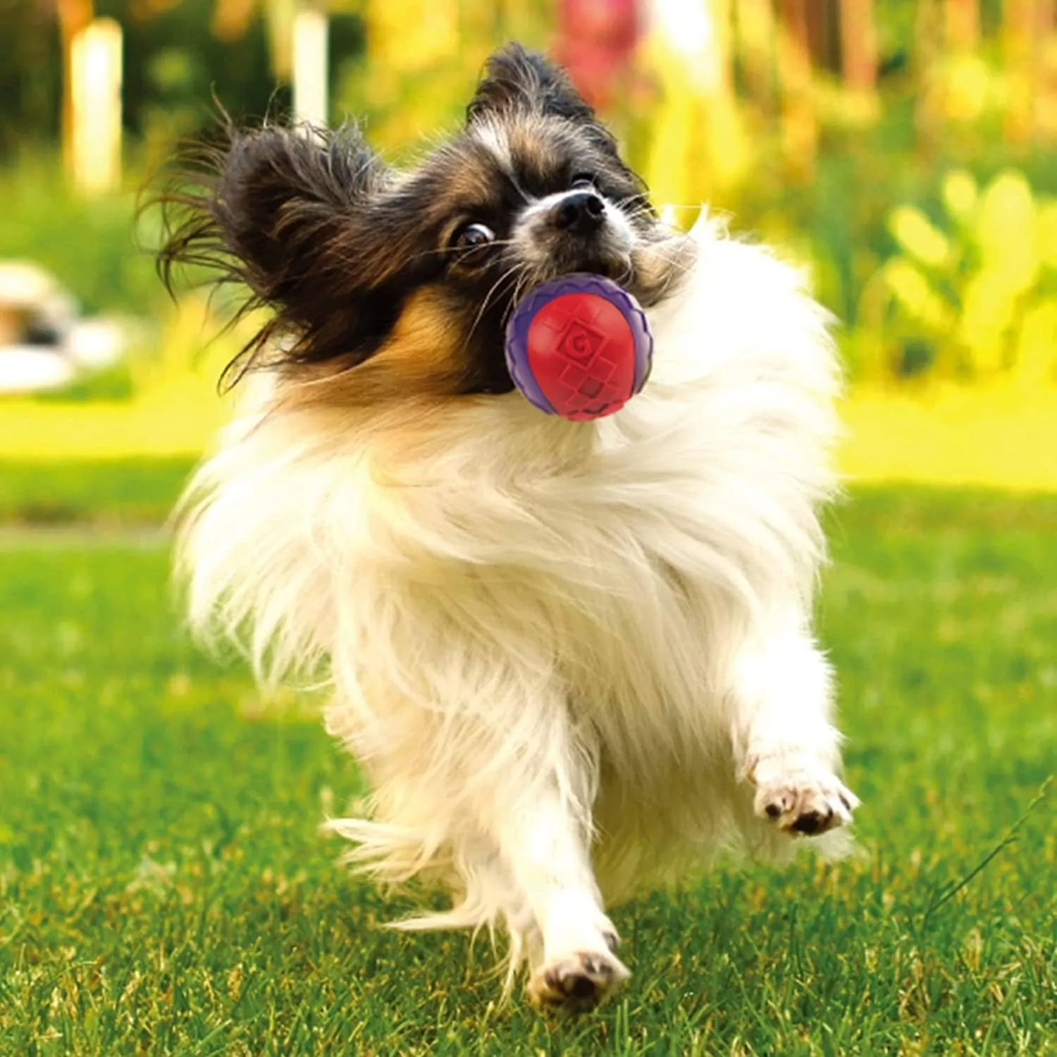 GiGwi Ball Squeaker Toy for Dogs (Pack of 2)