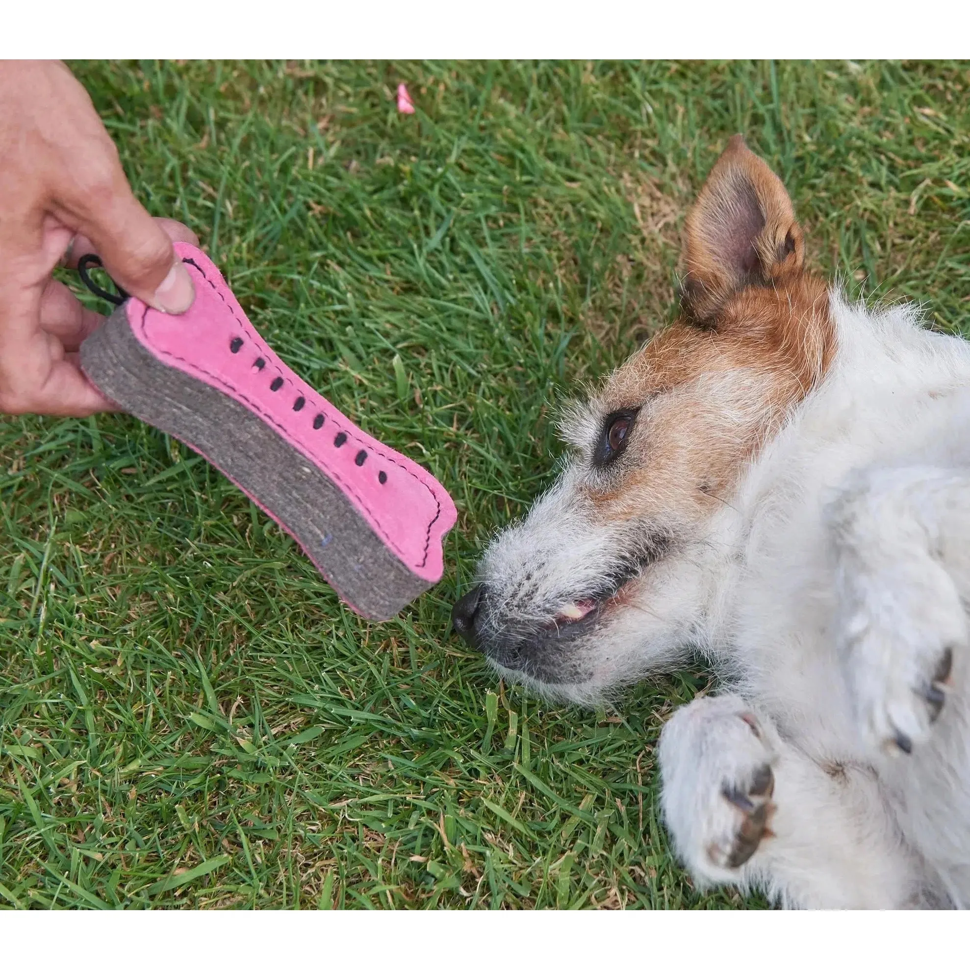 Green & Wilds | Eco Dog Toy - Pink Bone