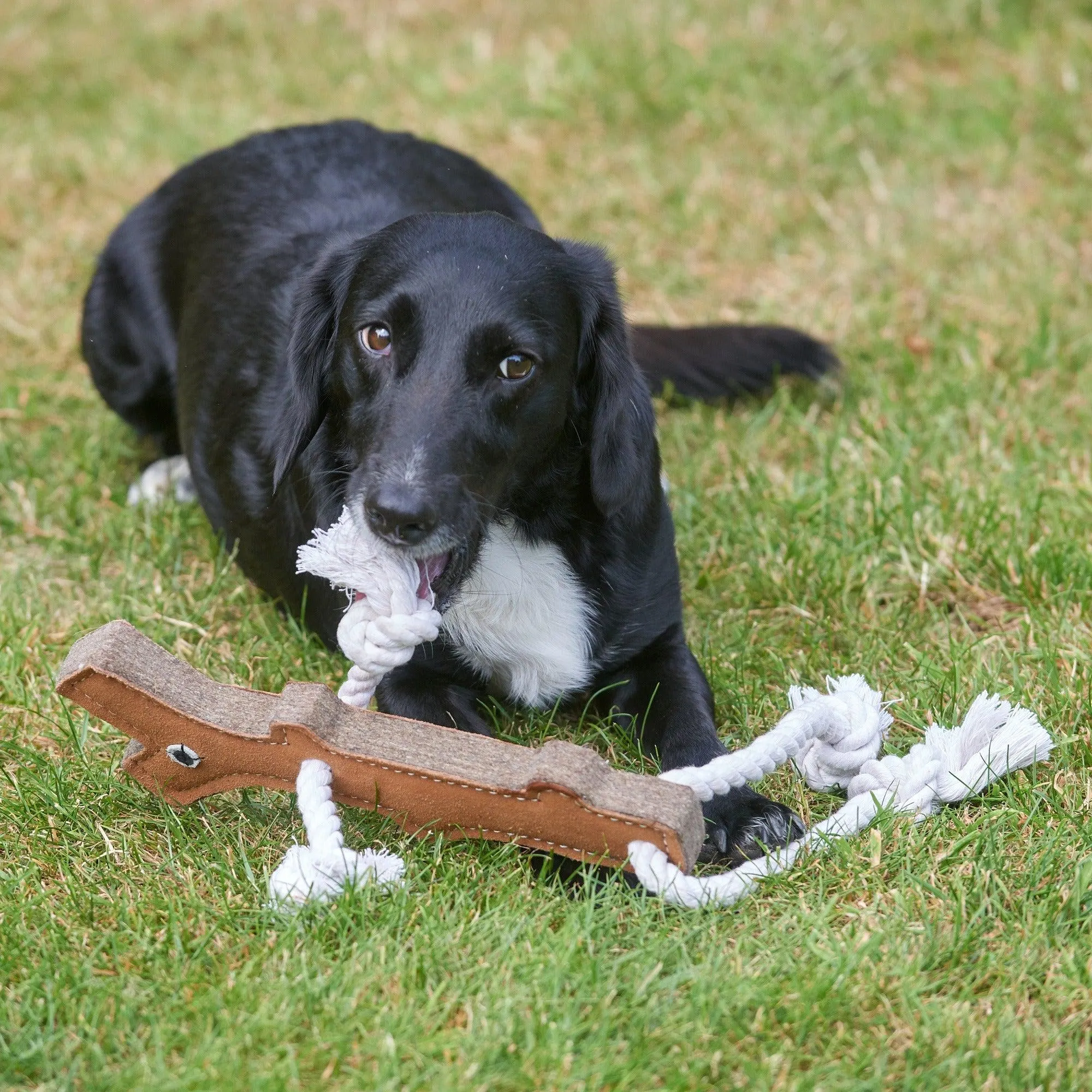 Green & Wilds | Eco Dog Toy - Stick Man
