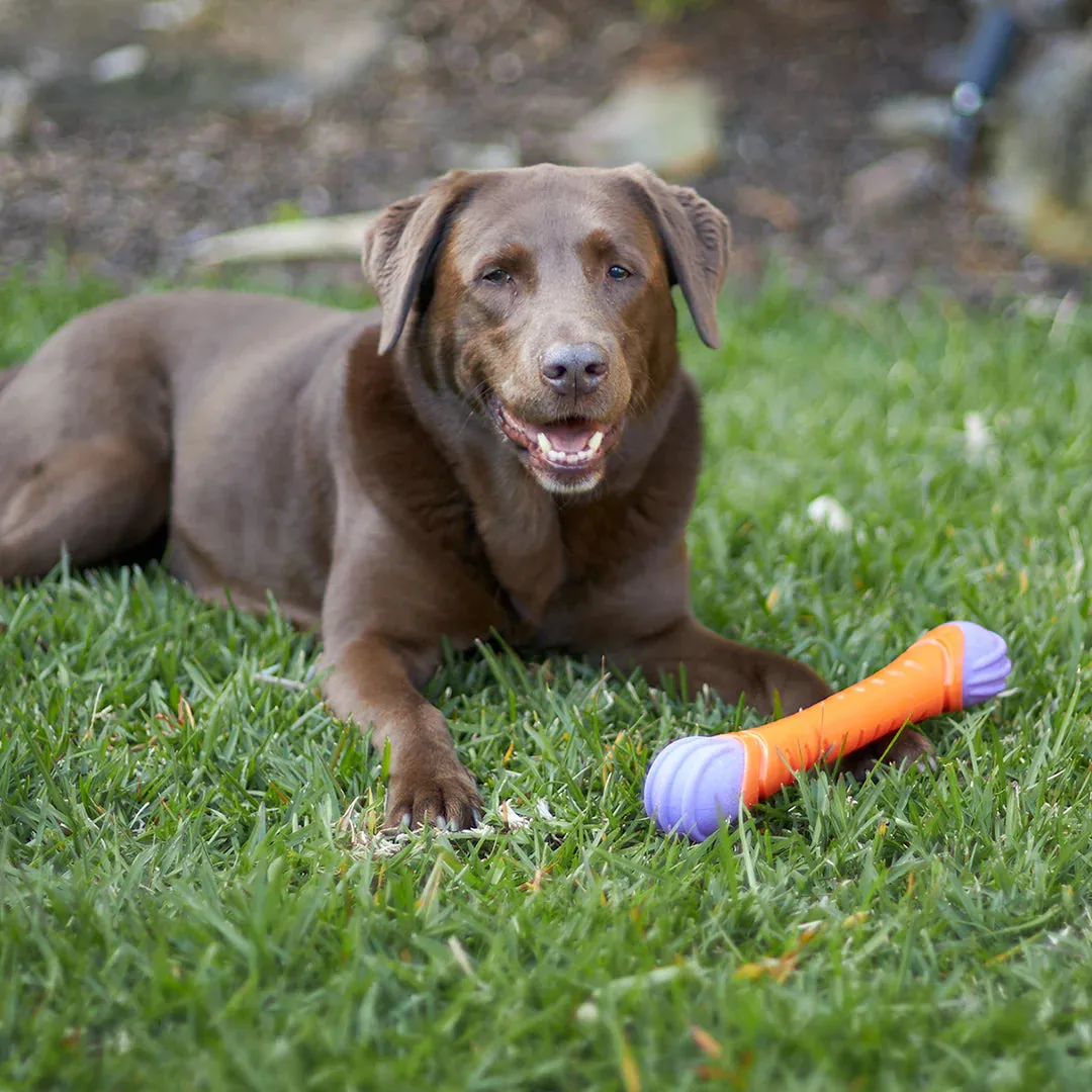 Kazoo Extreme Play Chew Stick Dog Toy Large