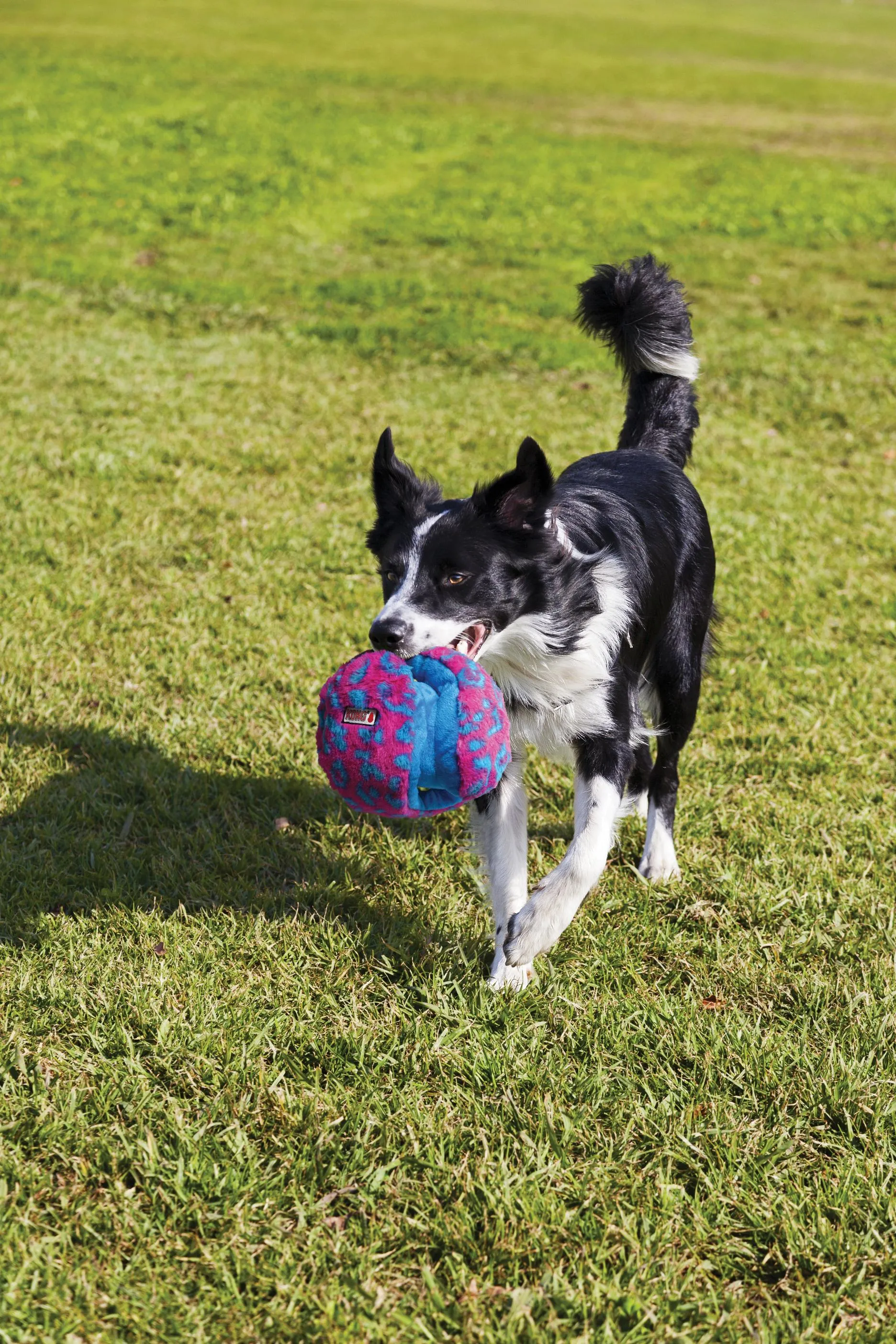 KONG Funzler Dog Toy Purple/Pink