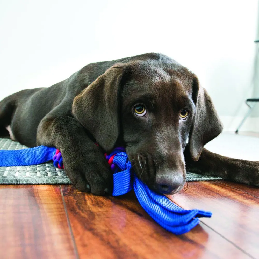 KONG Tugga Wubba Dog Toy (X-Large)