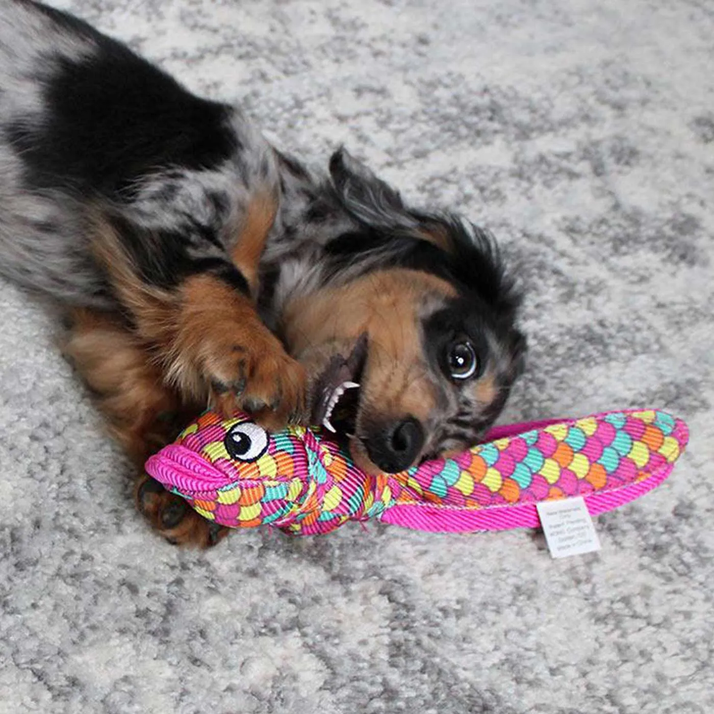 KONG Wubba Finz