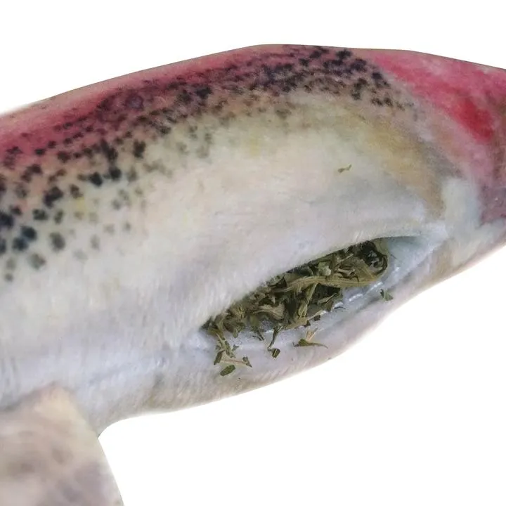 Meowijuana Get Smoked Refillable Rainbow Trout Toy