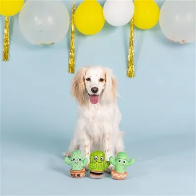 Mini Cactus Plush Dog Toy 3pk