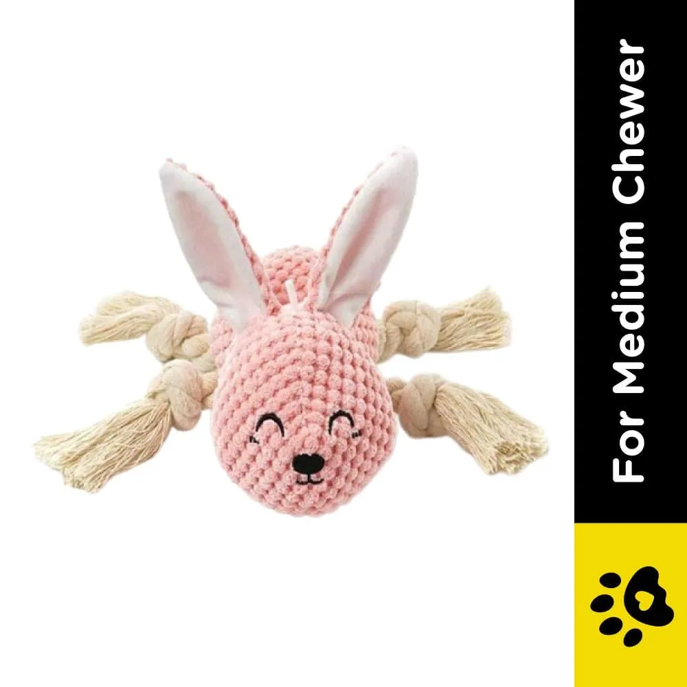 Pawsindia Sleepy Bunny Toy for Dogs
