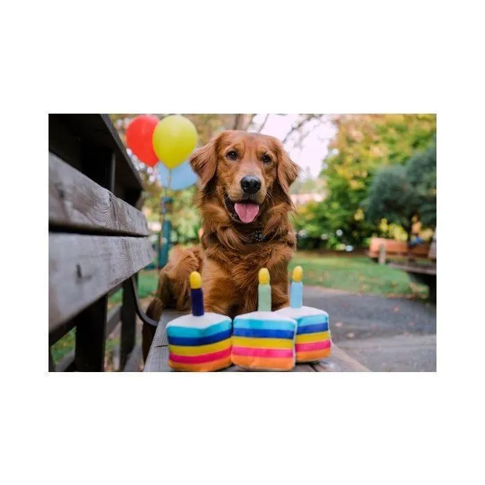PLAY Party Time Cake