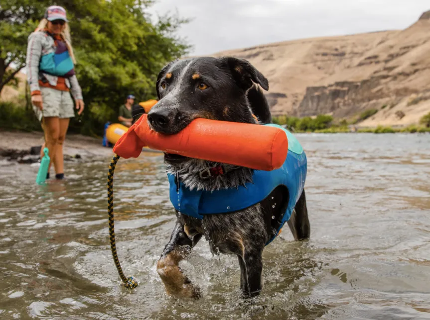 Ruffwear Lunker
