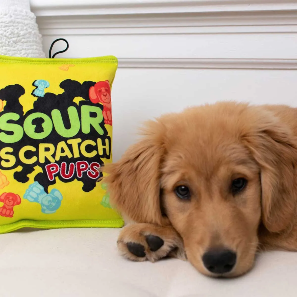 Sour Scratch Plush Dog Toy