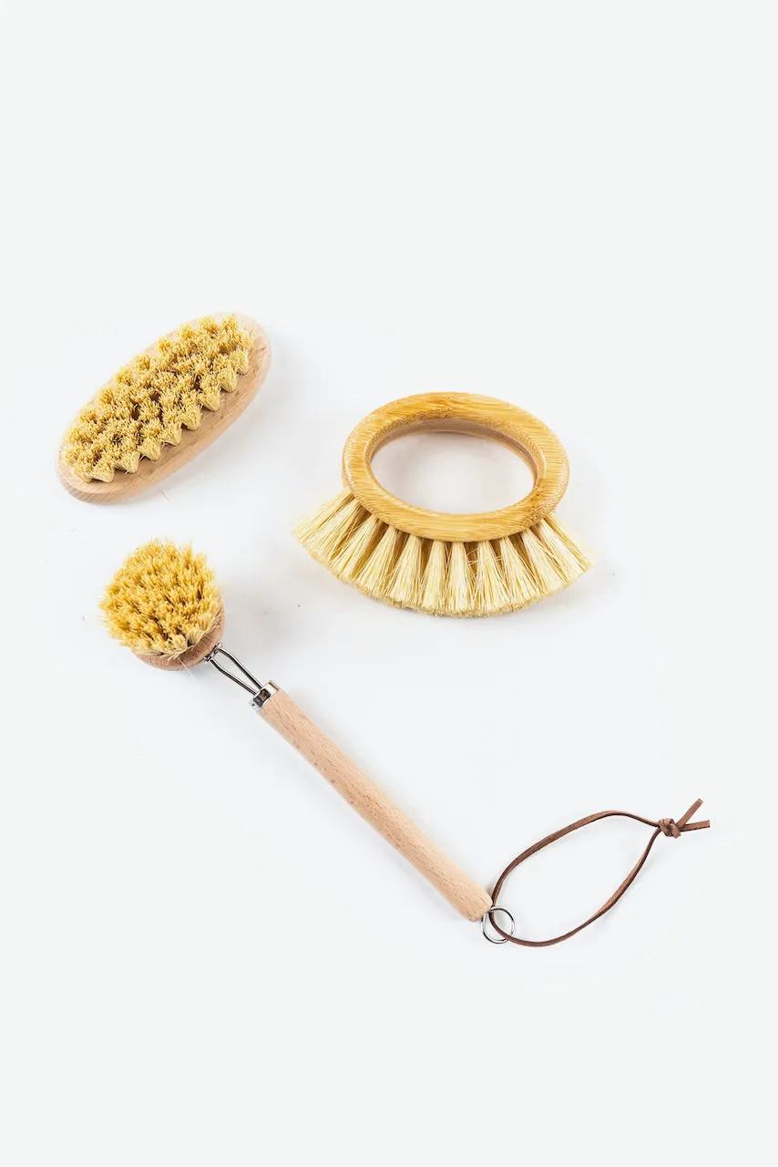Sunny Day Rounded Brush