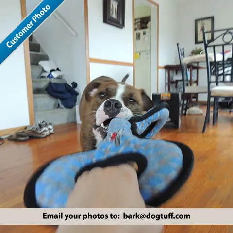 Tuffy's Mega Tug-O-War
