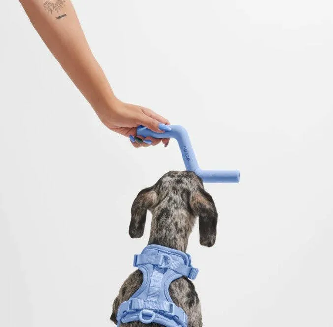 Wild One Bolt Bite Durable Dog Toy - Moonstone