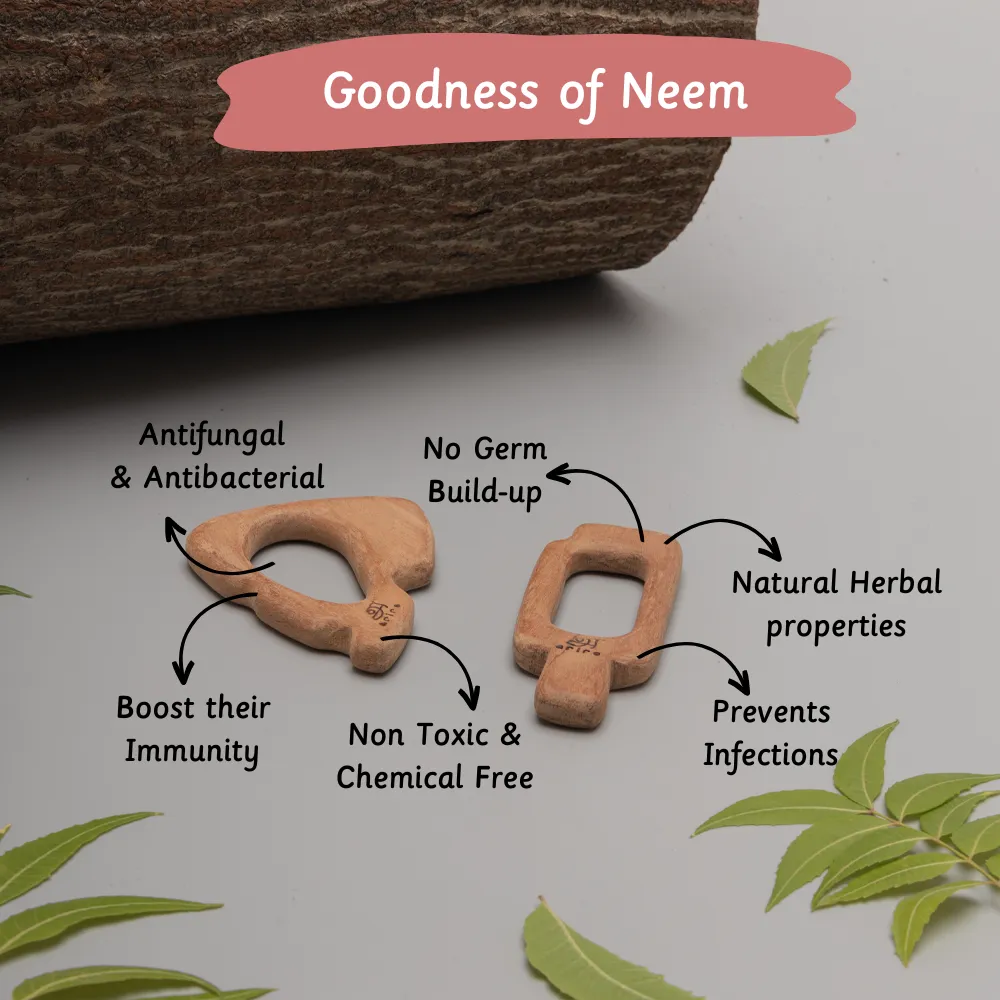 Wooden Teethers - Cheese and ice-cream stick