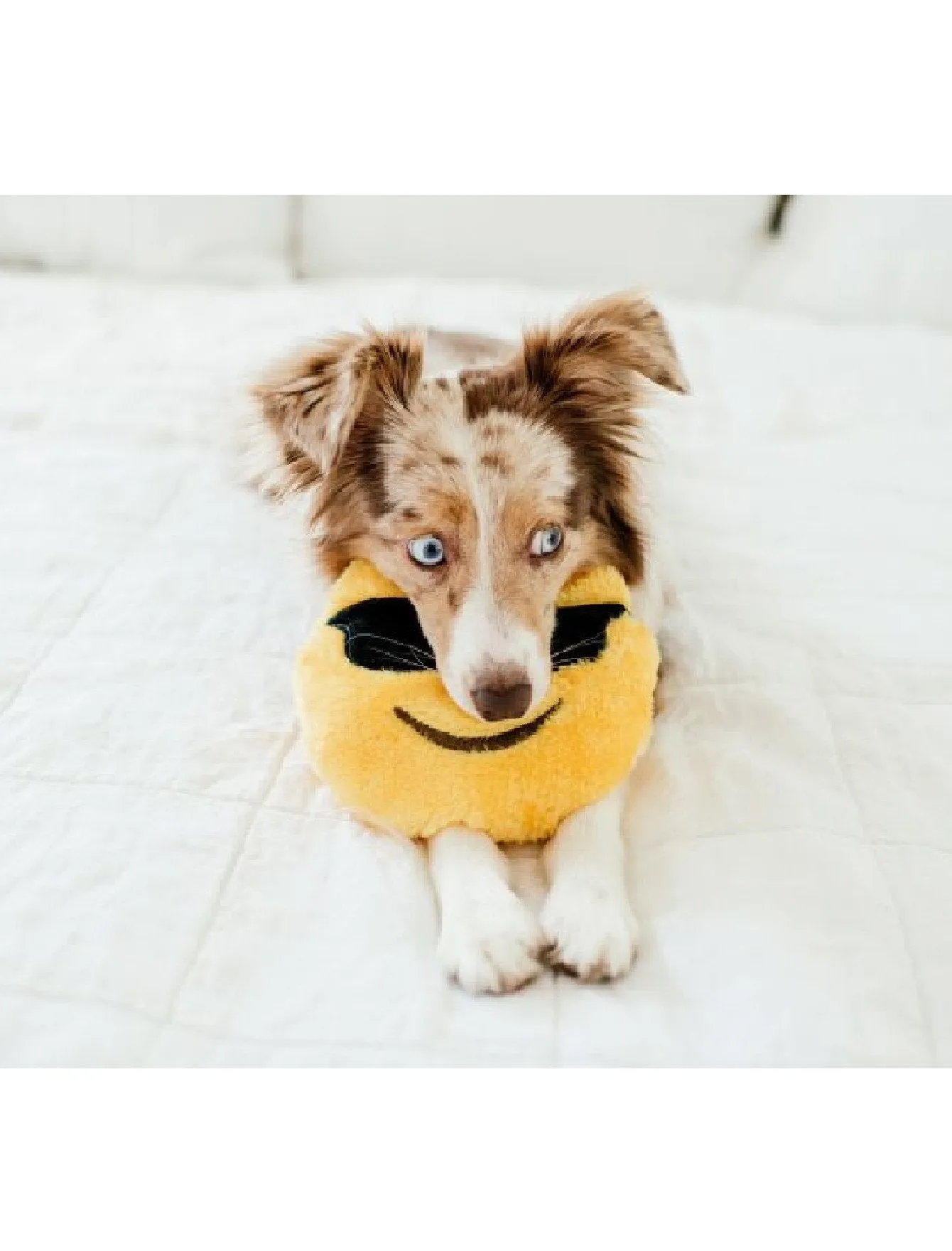 ZippyPaws Squeakie Emojiz Cool Dude Dog Toy